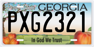 GA license plate PXG2321