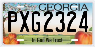 GA license plate PXG2324