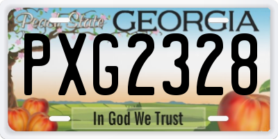 GA license plate PXG2328