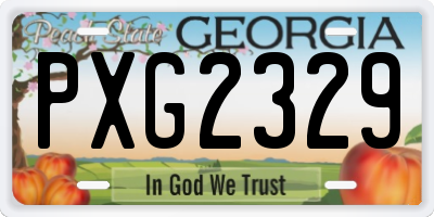 GA license plate PXG2329