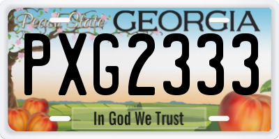 GA license plate PXG2333