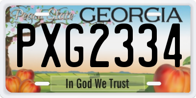 GA license plate PXG2334