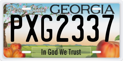 GA license plate PXG2337