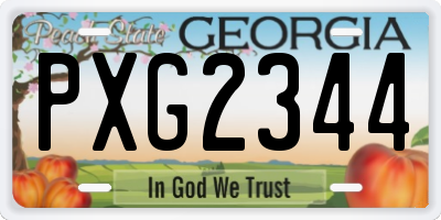 GA license plate PXG2344