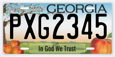 GA license plate PXG2345
