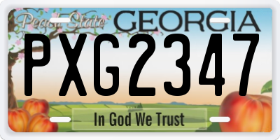 GA license plate PXG2347
