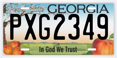 GA license plate PXG2349