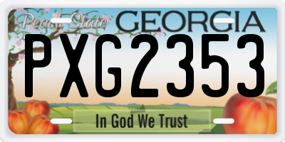 GA license plate PXG2353