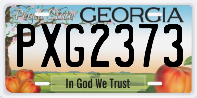 GA license plate PXG2373
