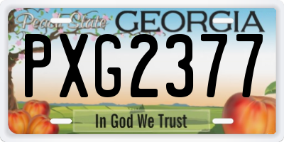 GA license plate PXG2377