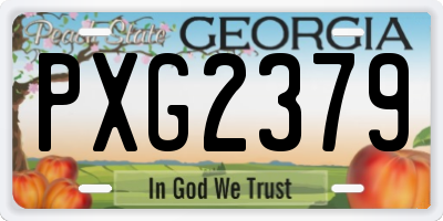 GA license plate PXG2379