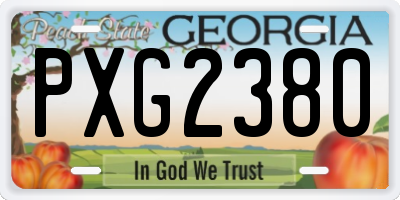 GA license plate PXG2380