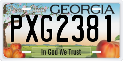 GA license plate PXG2381