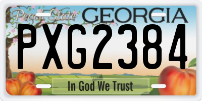 GA license plate PXG2384