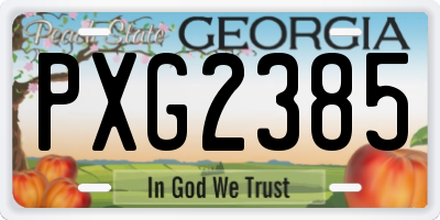 GA license plate PXG2385