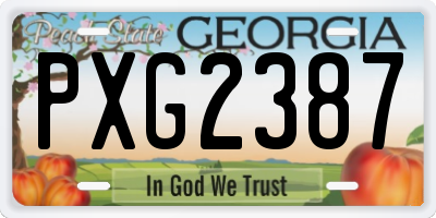 GA license plate PXG2387
