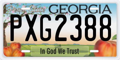 GA license plate PXG2388
