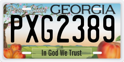 GA license plate PXG2389