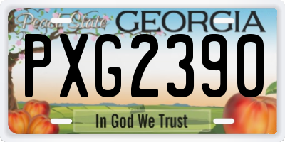 GA license plate PXG2390
