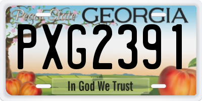 GA license plate PXG2391