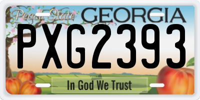 GA license plate PXG2393