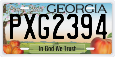 GA license plate PXG2394