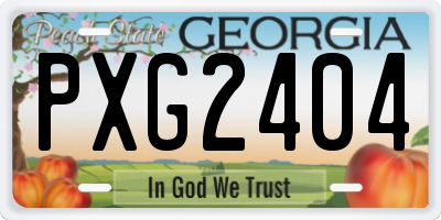 GA license plate PXG2404