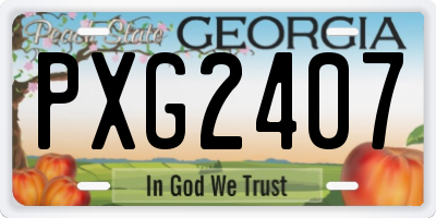 GA license plate PXG2407