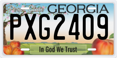 GA license plate PXG2409