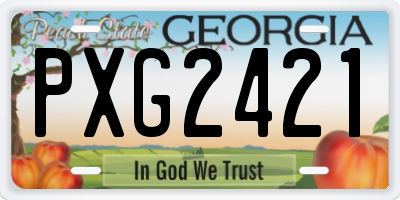 GA license plate PXG2421