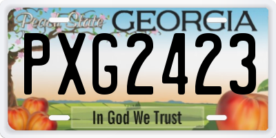 GA license plate PXG2423