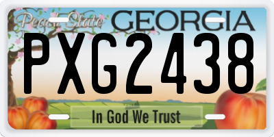 GA license plate PXG2438
