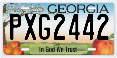 GA license plate PXG2442