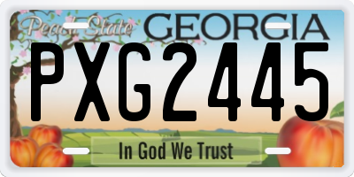 GA license plate PXG2445