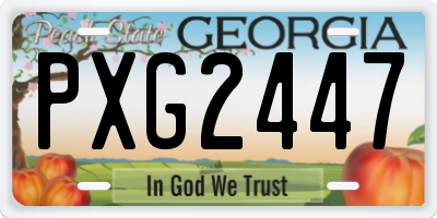 GA license plate PXG2447