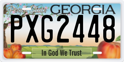 GA license plate PXG2448