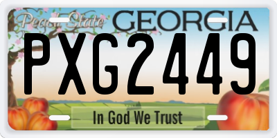 GA license plate PXG2449