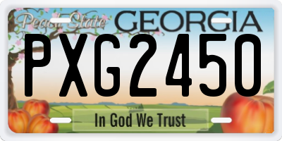 GA license plate PXG2450