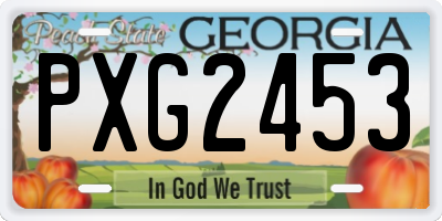 GA license plate PXG2453