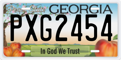 GA license plate PXG2454