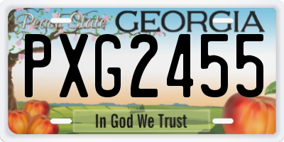 GA license plate PXG2455