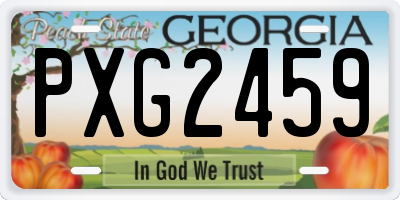 GA license plate PXG2459
