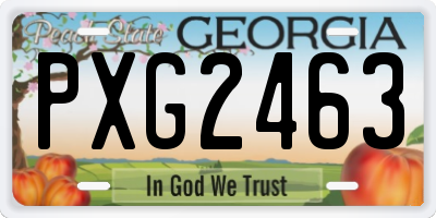 GA license plate PXG2463