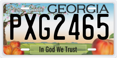 GA license plate PXG2465
