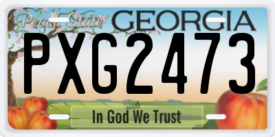 GA license plate PXG2473