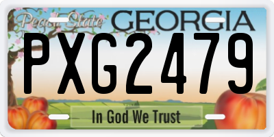 GA license plate PXG2479