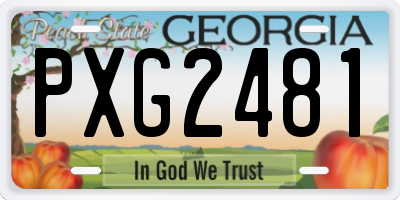 GA license plate PXG2481