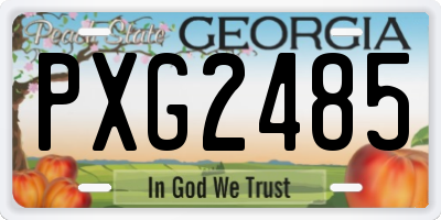 GA license plate PXG2485