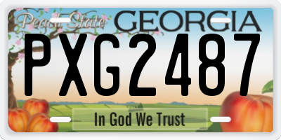 GA license plate PXG2487