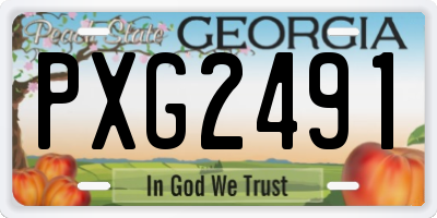 GA license plate PXG2491